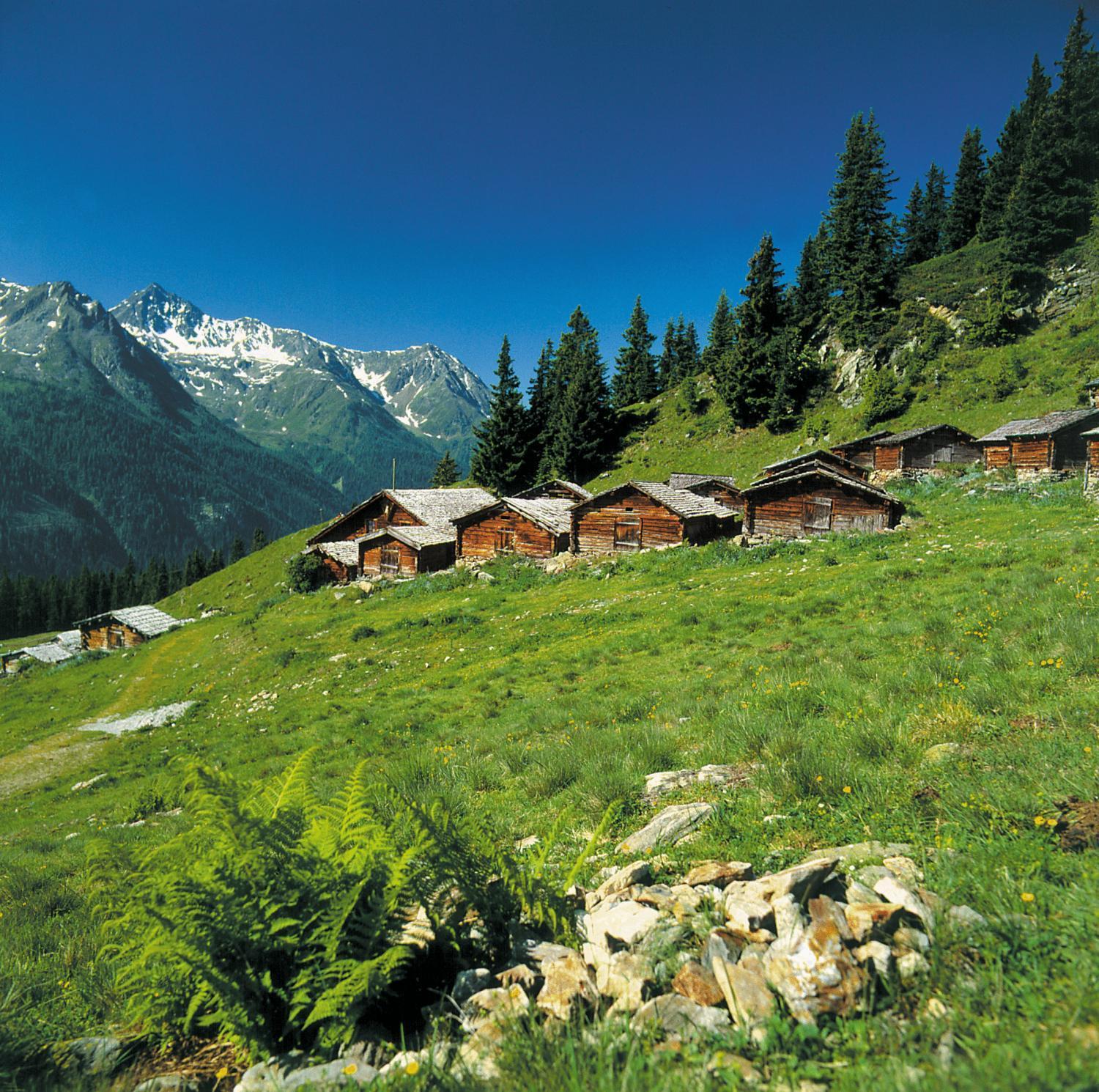 Hotel Alpenkoenigin - Sommer Silvretta Premium Card Inklusive See Eksteriør billede